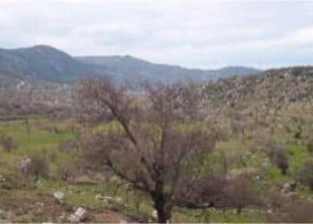 Satılık Arsa